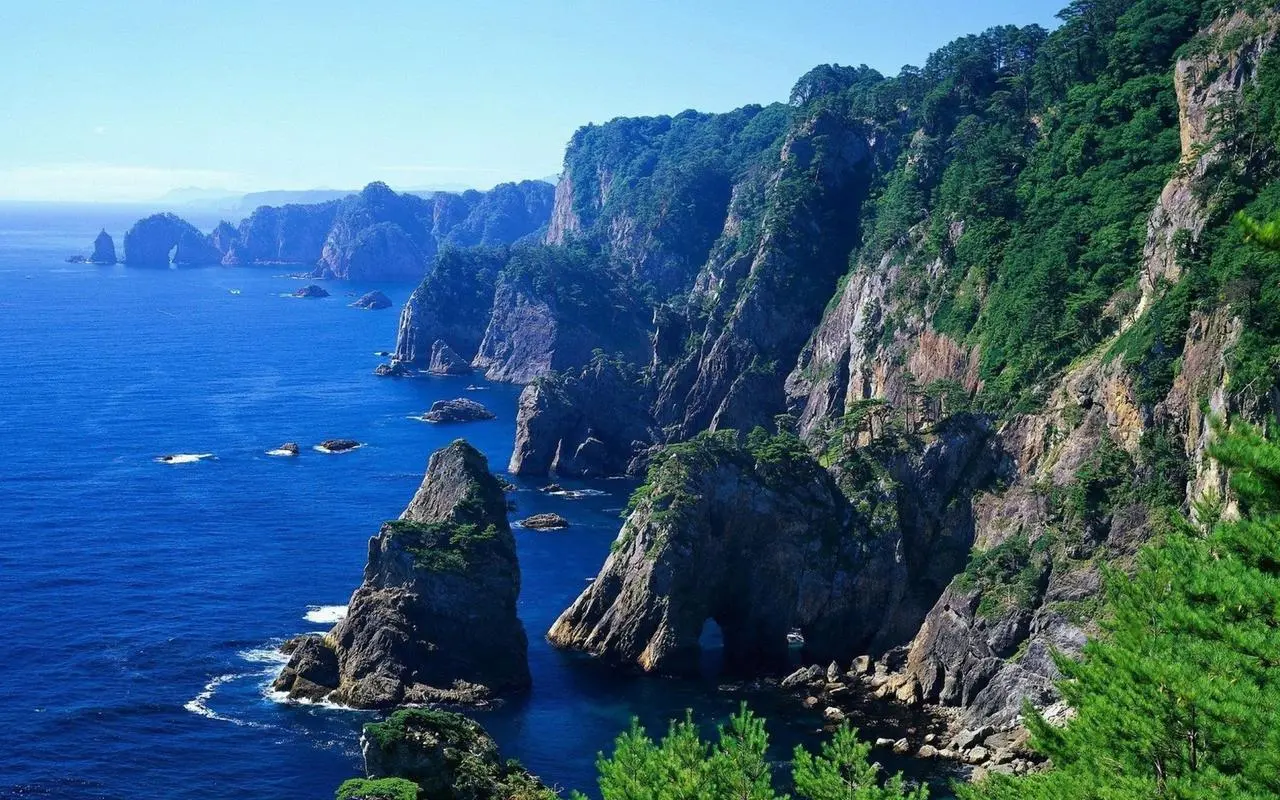高效高效